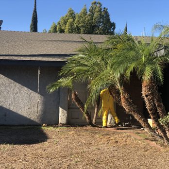Alex Superb Painting - Painters Near Me - Hesperia, California