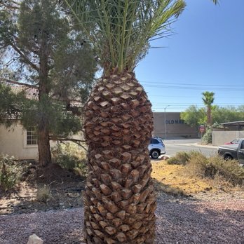 Express Landscapes - Landscaping Near Me - Las Vegas, Nevada