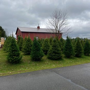 Sunny Hill Tree Farm - Christmas Trees Near Me - Endicott, New York Sunny Hill Tree Farm - Christmas Trees Near Me - Endicott, New York