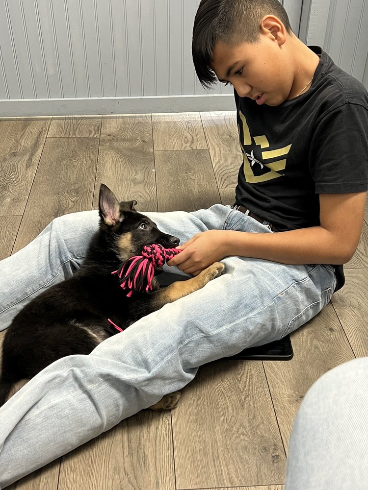 PUPPY WORLD CLOSED 16 Photos & 10 Reviews 4012 S Rainbow Blvd