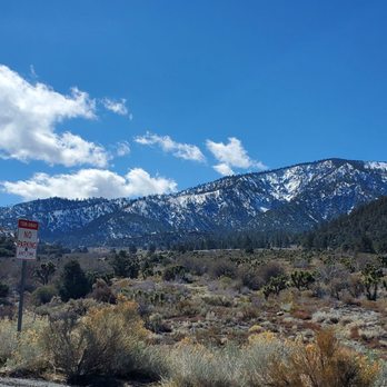 Grizzly Cafe - American Near Me - Wrightwood, California Grizzly Cafe - American Near Me - Wrightwood, California