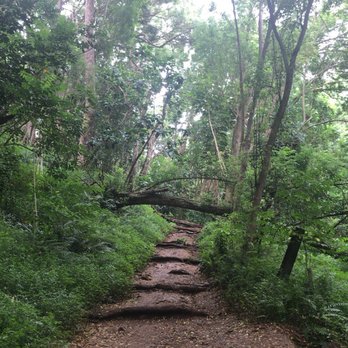 Hoopii Falls - Hiking Near Me - Kapaa, Hawaii