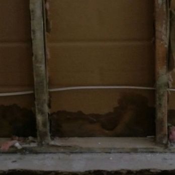 Team Delta - Studs and exterior wall - Damage Restoration Near Me - Beaumont, California Team Delta - Studs and exterior wall - Damage Restoration Near Me - Beaumont, California
