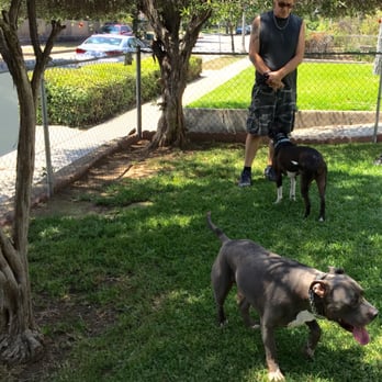 Eggers Dog Training - Pet Training Near Me Eggers Dog Training - Pet Training Near Me