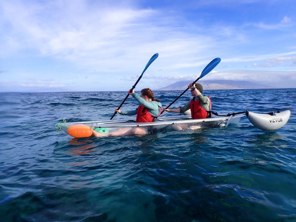 Tropical Guides & Outfitters Logo