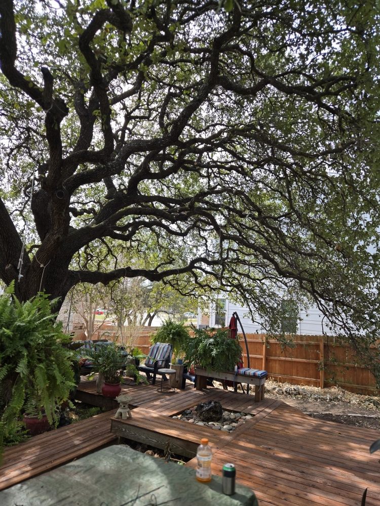 Affordable Arbor Care - tree service in Austin, TX