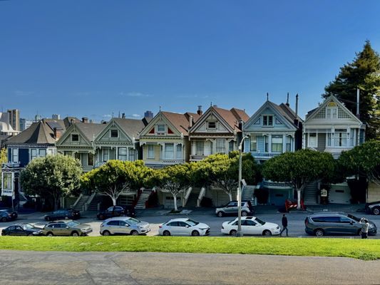 The Painted Ladies by null