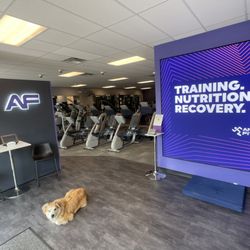 Emma waiting for New Member to enter Gym.