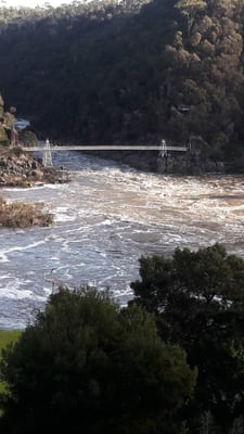 Cataract Gorge Reserve by null