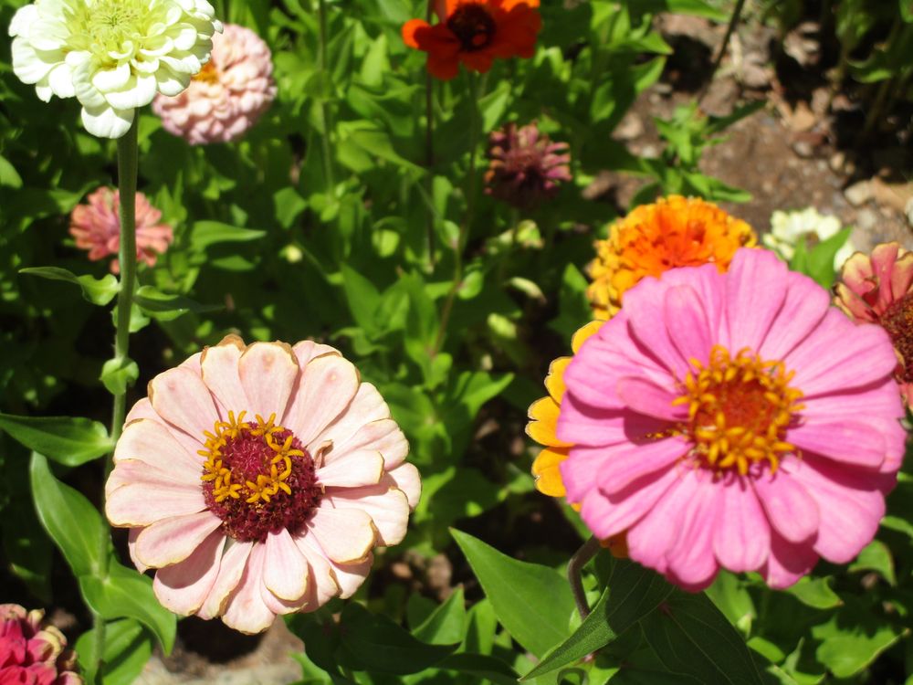 B & D LUMBER AND HARDWARE Updated October 2024 23 Photos 1010 N H