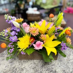 Sueppel's Flowers
