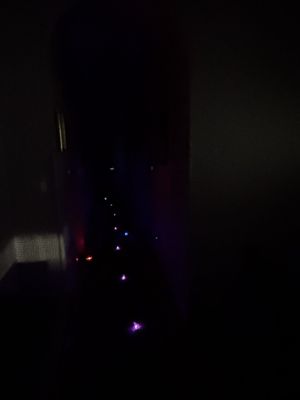 The Dr. Willella Howe-Waffle House and Medical Museum by null