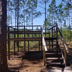 Brooker Creek Nature Preserve Friends Trail - Observation Tower (more of a platform)