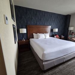 Drury Plaza Hotel Valdosta