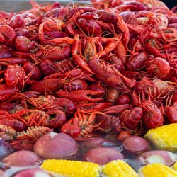 Pensacola Seafood Festival
