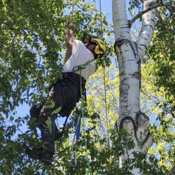 New Leaf Tree Service