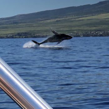 Makai Adventures - Boat Charters Near Me - Lahaina, Hawaii Makai Adventures - Boat Charters Near Me - Lahaina, Hawaii