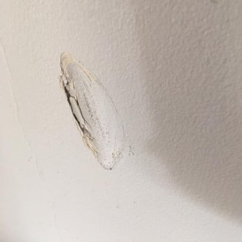Plan A - punched in wall, two of these only posted 1 pic - Property Management Near Me - Vancouver, British Columbia
