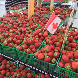 Etobicoke Civic Centre Farmers Market - Look at all the fresh Ontario strawberries!