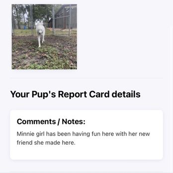 The Kennels at Gum Gully - Pet Boarding Near Me - Crosby, Texas The Kennels at Gum Gully - Pet Boarding Near Me - Crosby, Texas