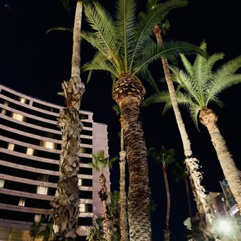 The Westin Long Beach - Hotels Near Me - Long Beach, California The Westin Long Beach - Hotels Near Me - Long Beach, California