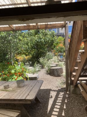 Children's Sunflower House & Garden by null