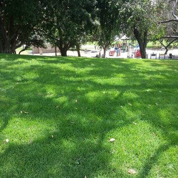 Valley Park - Green grass - Parks Near Me - Hermosa Beach, California