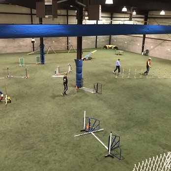 Pawsitive Partners Dog Training Center - Agility ring for competition - Pet Training Near Me - Indianapolis, Indiana Pawsitive Partners Dog Training Center - Agility ring for competition - Pet Training Near Me - Indianapolis, Indiana