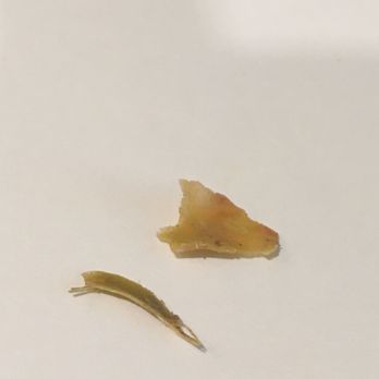 Chipotle Mexican Grill - Random objects I almost choked on in my vegetarian bowl: WHAT ARE THESE? - Mexican Near Me - Aspen Hill, Maryland