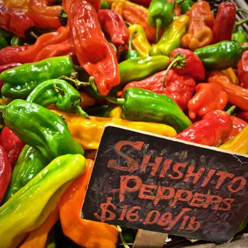 Stillman's Farm - SHISHITO: Peppers, from Stillman's Farm at Boston Public Market - Farmers Market Near Me - Boston, Massachusetts