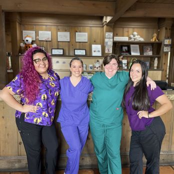 Corona del Mar Animal Hospital - Veterinarians Near Me - Corona Del Mar, California Corona del Mar Animal Hospital - Veterinarians Near Me - Corona Del Mar, California