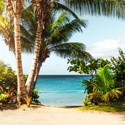 Go Luxe Travel - A beautiful beach in St. Thomas, U.S.V.I.