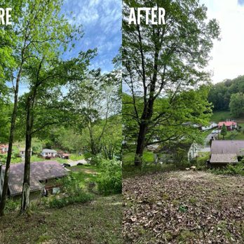 Wimer - Tree Services Near Me