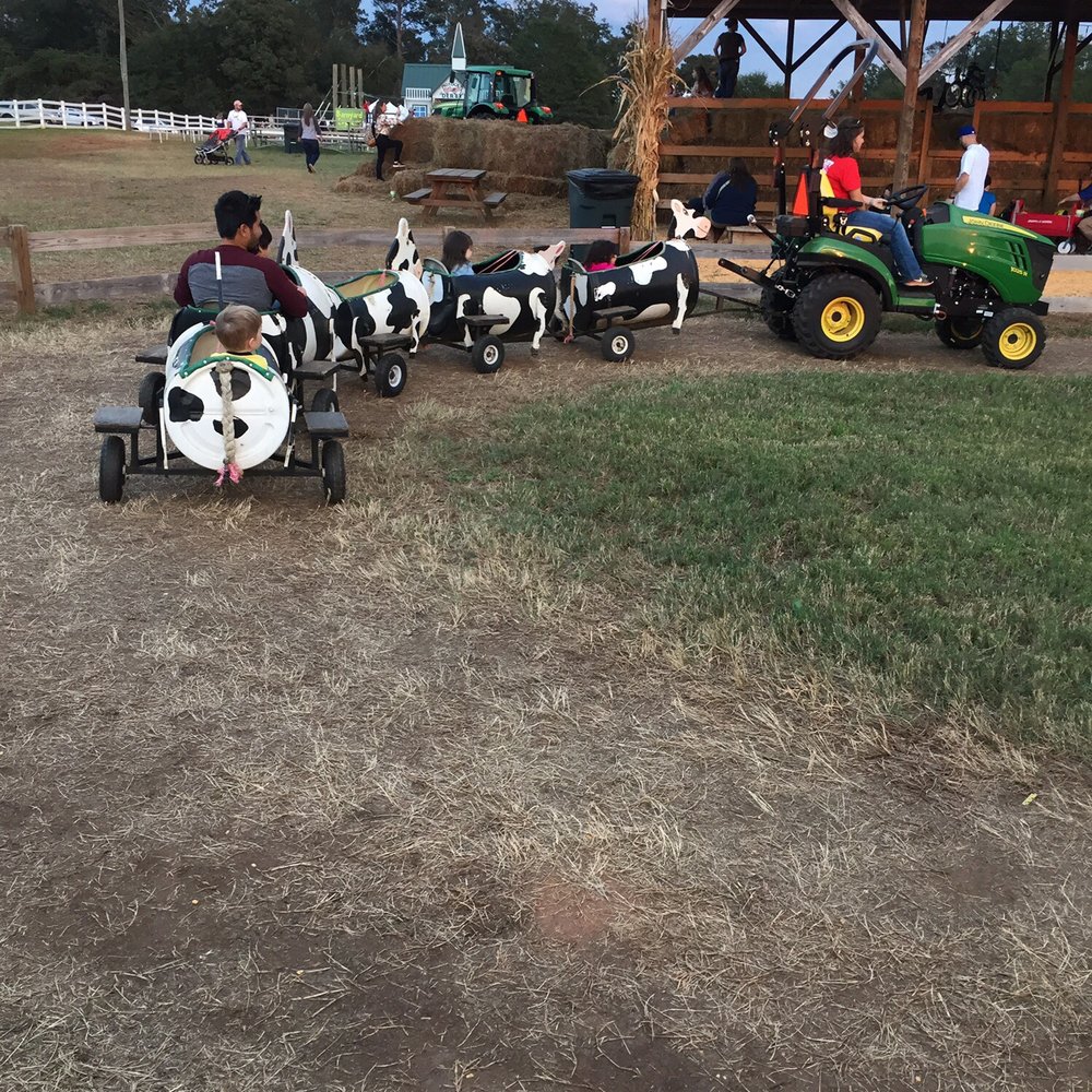 Denver Downs Farm - Attraction Farms Near Me - Anderson, South Carolina Denver Downs Farm - Attraction Farms Near Me - Anderson, South Carolina