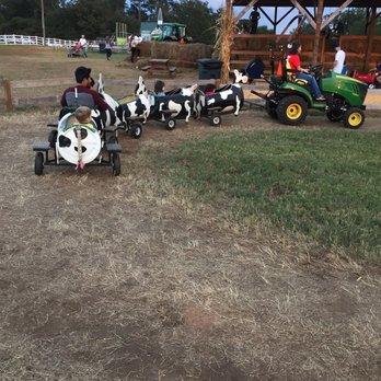 Denver Downs Farm - Attraction Farms Near Me - Anderson, South Carolina Denver Downs Farm - Attraction Farms Near Me - Anderson, South Carolina