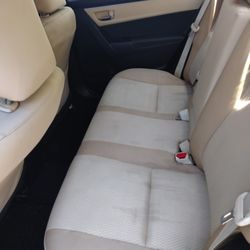 DJ Detailing Pro - Deep cleaning shampoo