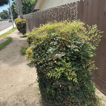 Don Jose Lawn Service - Lawn Services Near Me Don Jose Lawn Service - Lawn Services Near Me