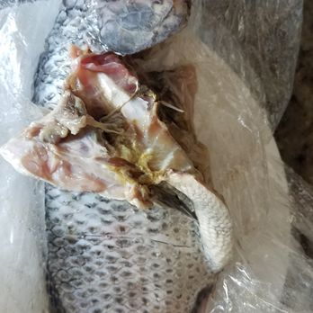 99 Ranch Market - Rotten fish! - International Grocery Near Me - Quincy, Massachusetts