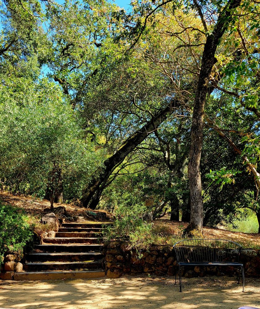 Farella Vineyard Logo