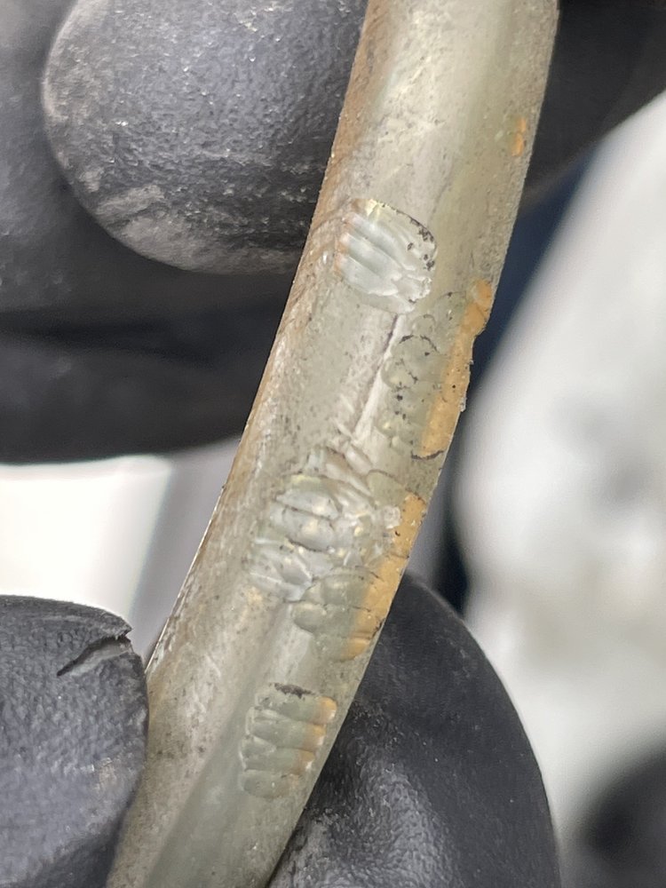 AMERICAN TIRE DEPOT GLENDALE 121 Photos & 732 Reviews 737 S