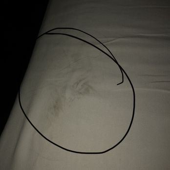Chateau Saint Denis Hotel - Bed sheet - Hotels Near Me - Natchitoches, Louisiana