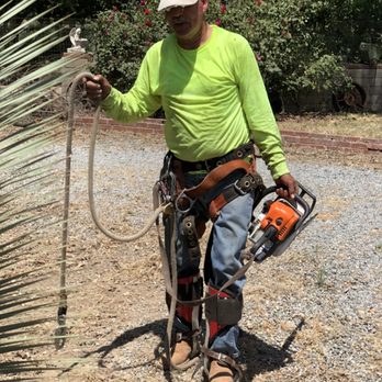 Chavez Lawn Care - Proper safety gear for tree trimming. - Tree Services Near Me Chavez Lawn Care - Proper safety gear for tree trimming. - Tree Services Near Me