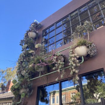 Kitchen Story - Front entrance with succulents :) - Breakfast & Brunch Near Me - Oakland, California Kitchen Story - Front entrance with succulents :) - Breakfast & Brunch Near Me - Oakland, California