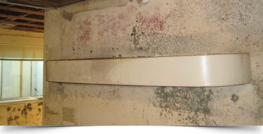 Slide of Utah Flood Cleanup