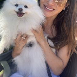 Westview Dental Care - Im so happy with my veneers