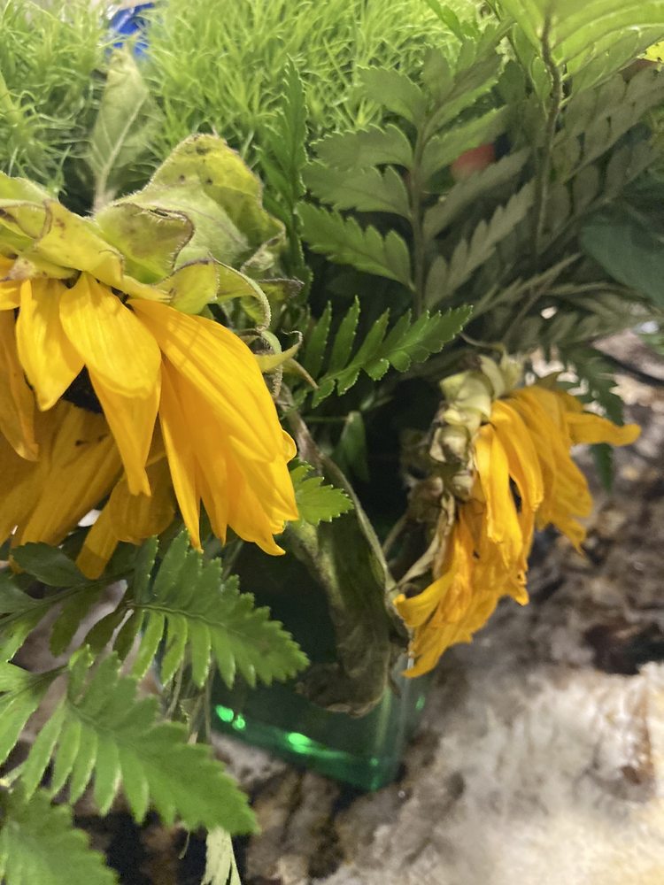 TALK OF THE TOWN FLORIST Updated August 2024 12 Photos 38526