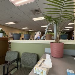 BenchMark Physical Therapy
