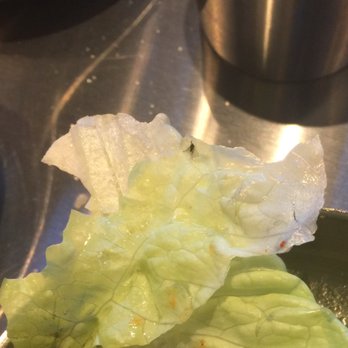 Daebak Korean BBQ - Bug on lettuce!!! - Korean Near Me - Chicago, Illinois Daebak Korean BBQ - Bug on lettuce!!! - Korean Near Me - Chicago, Illinois