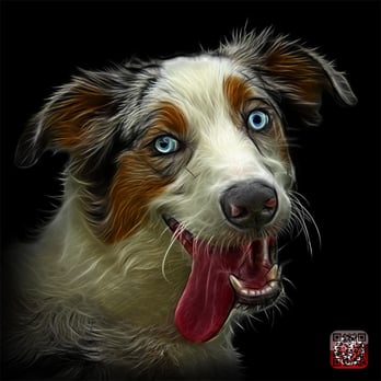 Orange Dog Park - my artwork of molly - Dog Parks Near Me - Orange, California