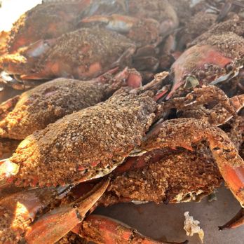 L P Steamers - Large and medium crabs - Seafood Near Me - Baltimore, Maryland L P Steamers - Large and medium crabs - Seafood Near Me - Baltimore, Maryland